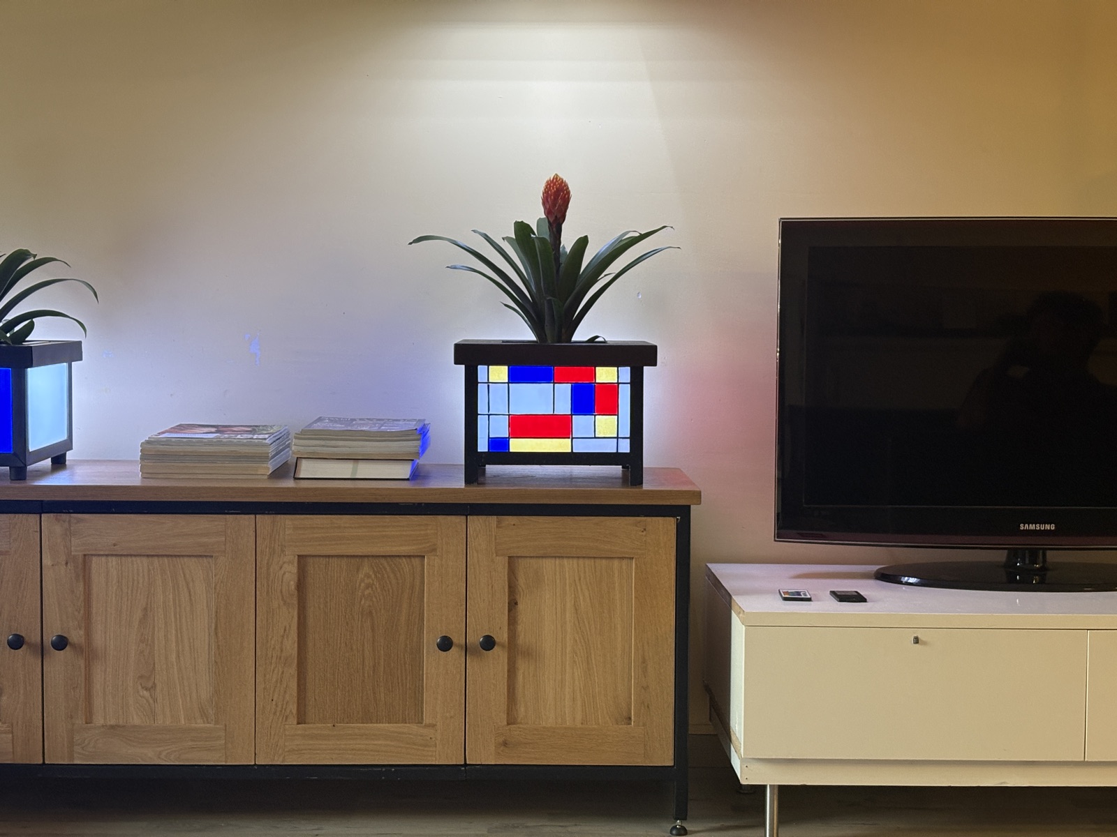 Plant in Lamp in de woonkamer