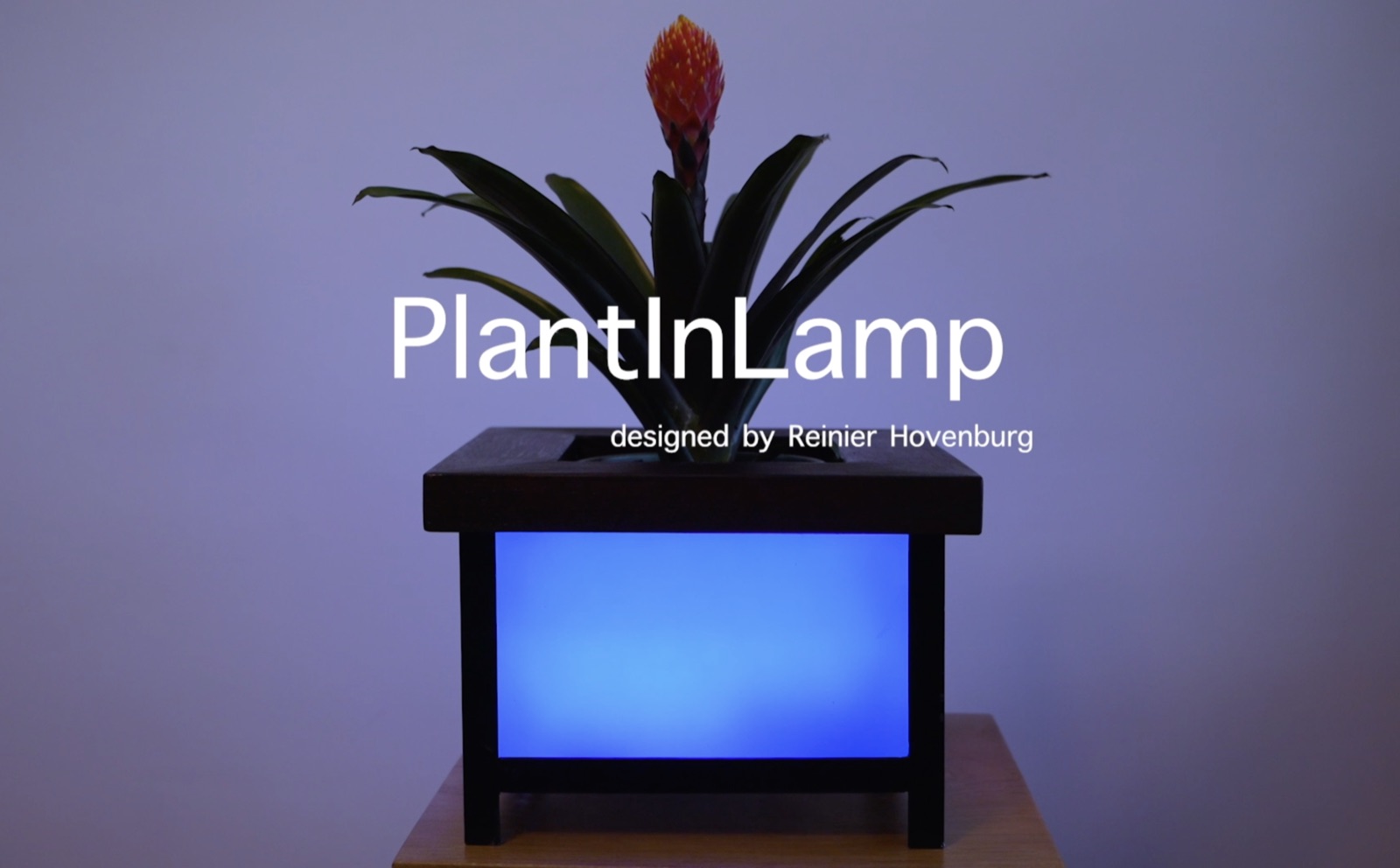 Plant in Lamp — ontworpen door Reinier Hovenburg